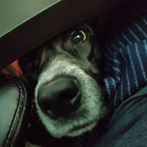 Meet your Posher, Nicholas